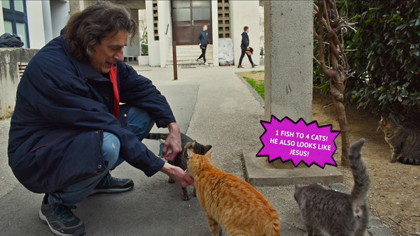 man feeding cats in street