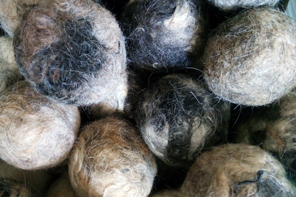 balls from dog hair