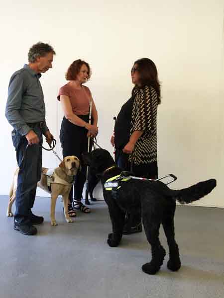 three visually impaired persons standing with three guide dogs